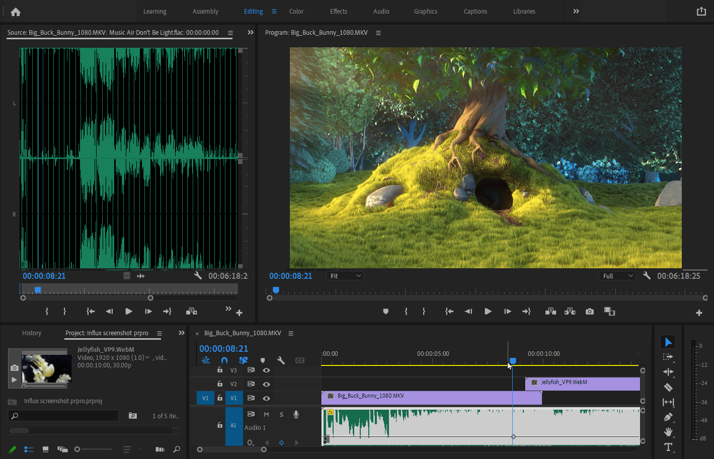 Screenshot_Windows_00000_Influx_Premiere_Pro